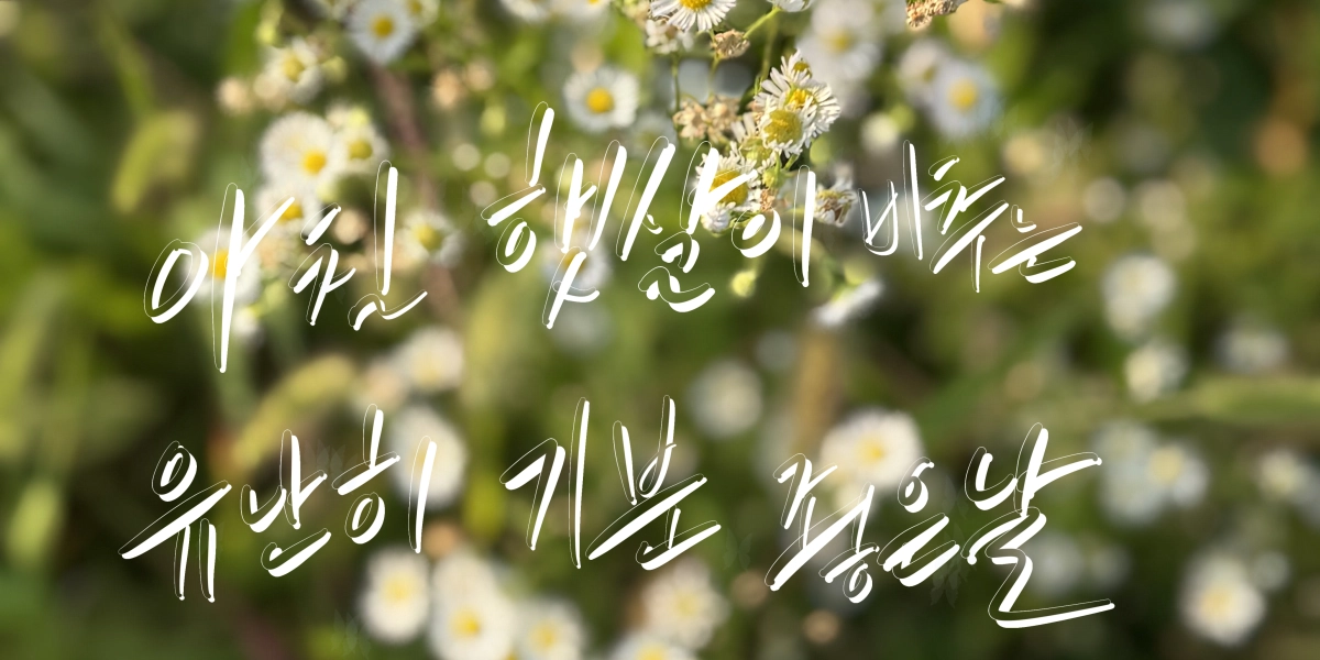 캘리그라피 | 수결 | CREPE